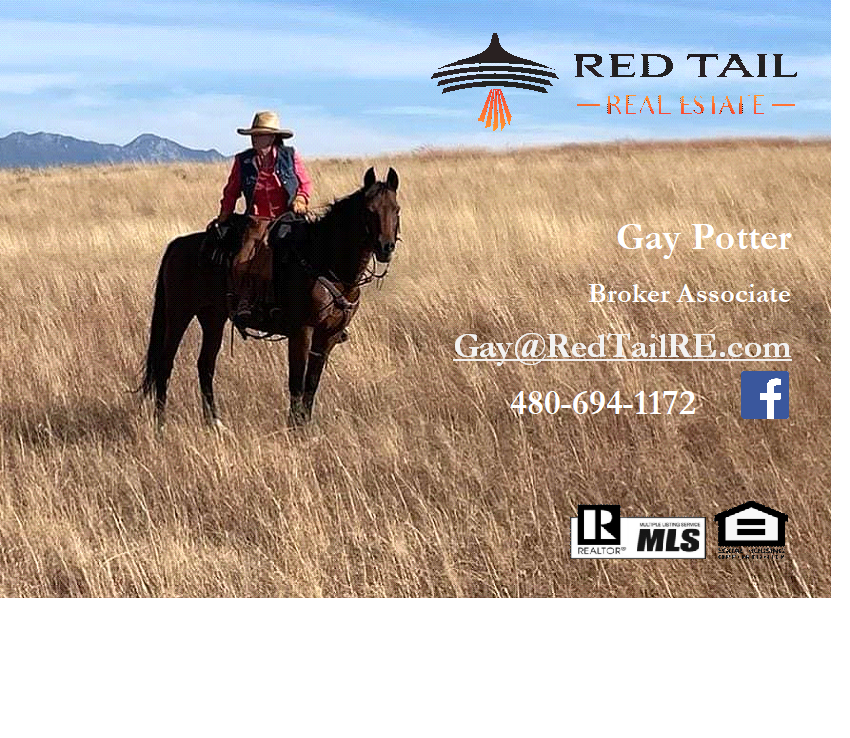 Gay Potter
Red Tail Real Estate
Sonoita, Arizona
Queen Creek, Arizona